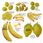 Obst