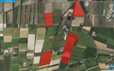 Photovoltaik im Ismaninger Moos