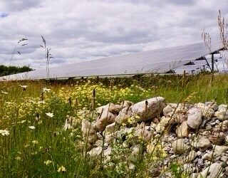 Häufig gefragt: Solarparks und Biodiversität