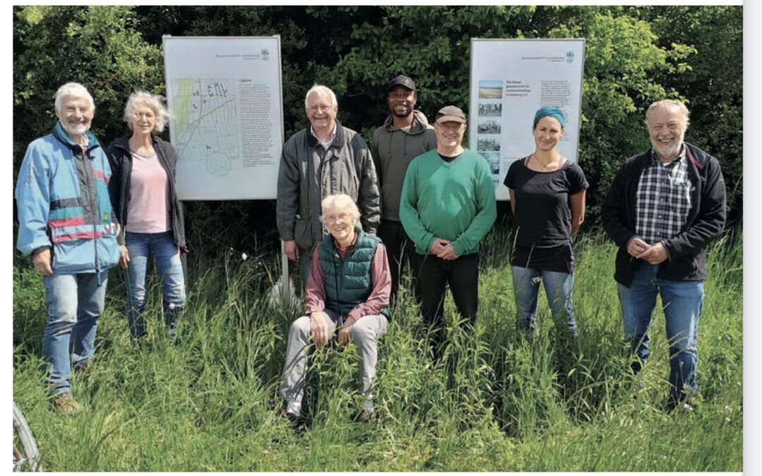Rundschau 12/25 – BGLI Die Waldrebe – der Feind der großen Bäume
