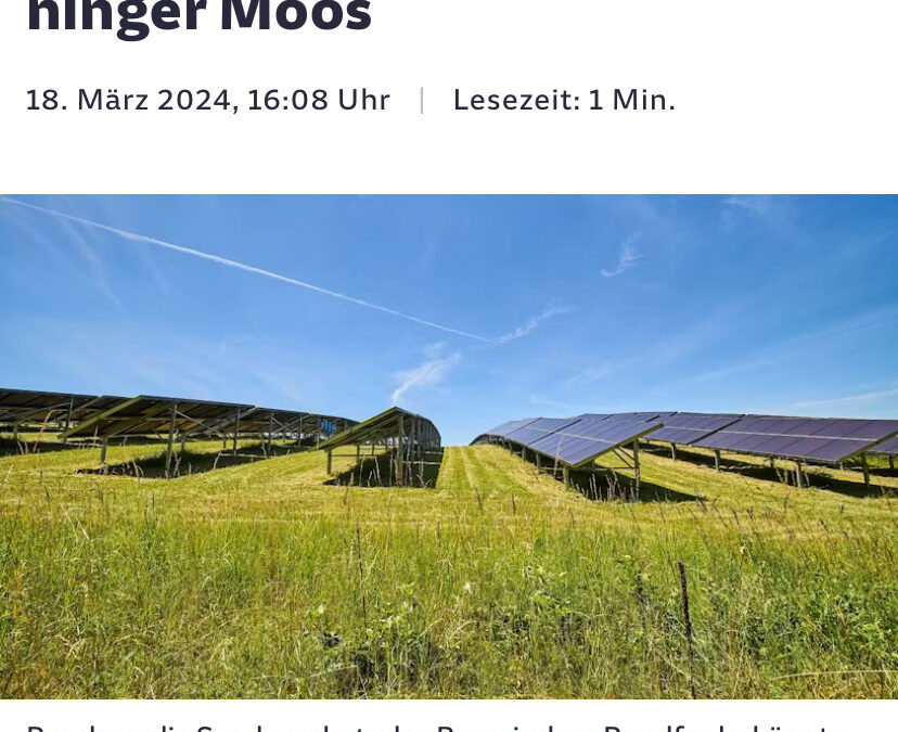 SZ vom 18.03.2024