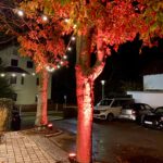 Ismaning ist bunt Rote Bäume