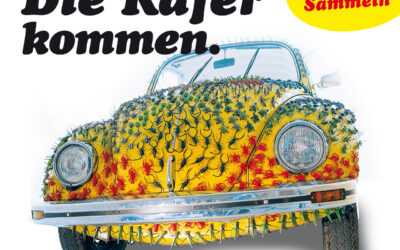 Insekten und Tiermagnete als jahrelange Verkaufsschlager