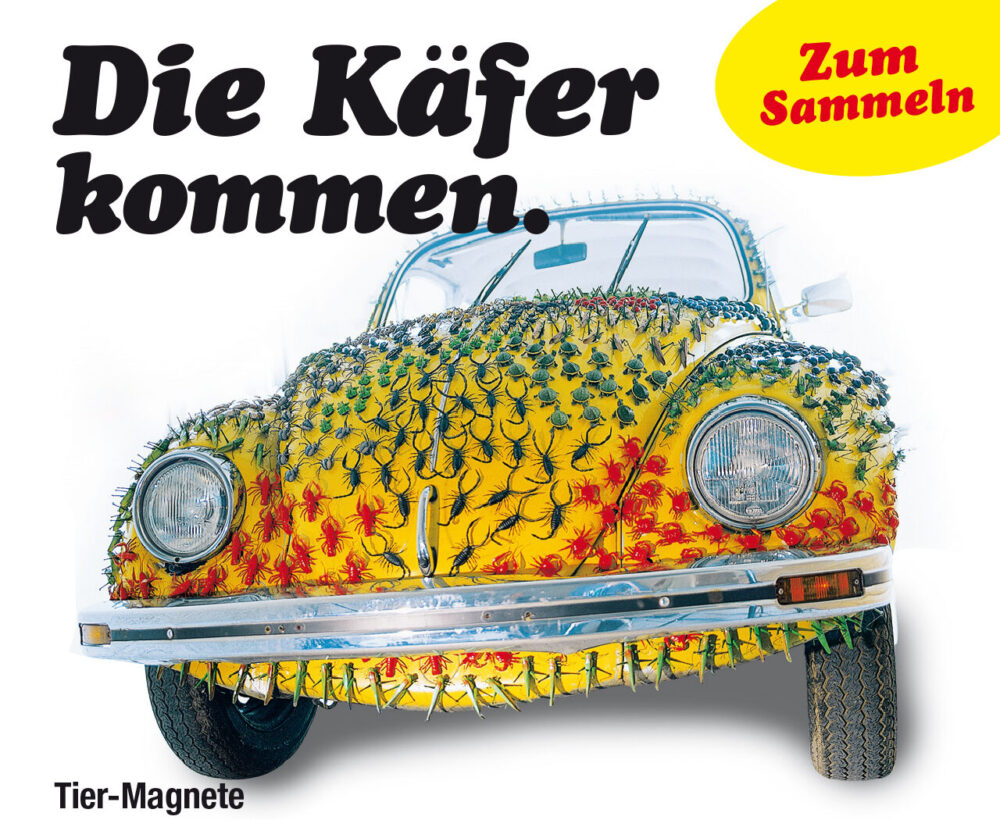 Insekten, magnete, käfer, Amphibien, sammeln, Dekoration, kühlschrankmagnete, Dekomagnete