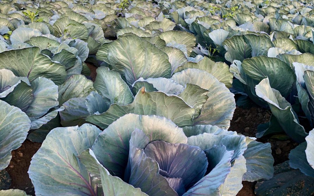 3. Preis im Fotowettbewerb 2024